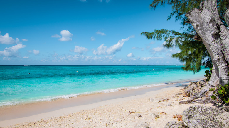 Seven Mile Beach in the Cayman Islands
