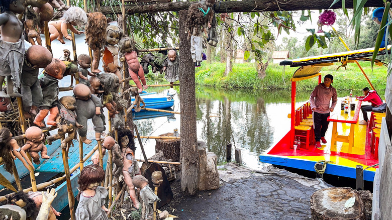 Dolls hang from tree at Island of Dolls in Mexico