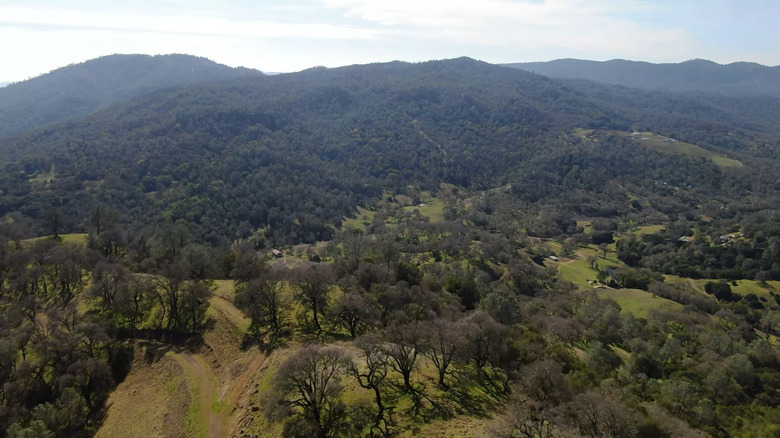 Aerial views of hills and trees beat Wragg Ridge Preserve in Napa Valley, California