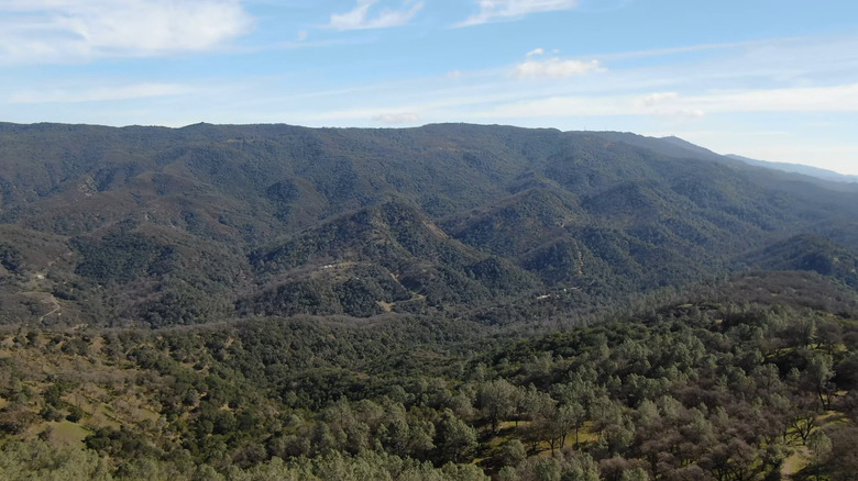 Hills at Wragg Ridge Preserve, California
