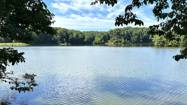 A lake at Village Creek State Park in Wynne, Arkanasas