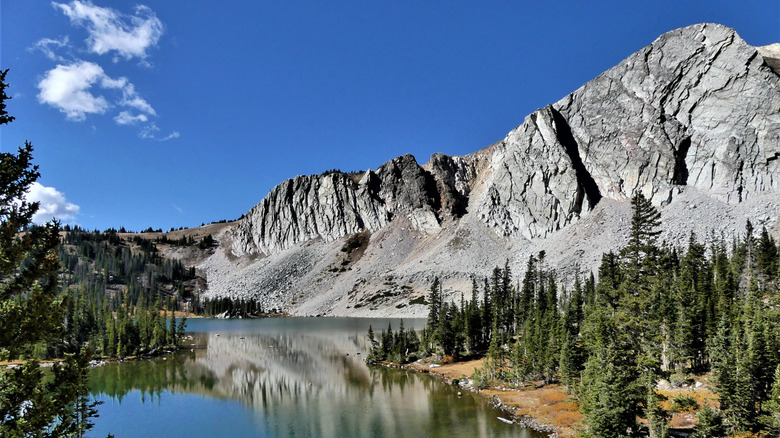 Beautiful alpine scenery from Medicine Bow National Forest
