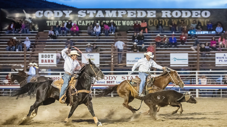 Cowboys team roping at Cody Stampede Rodeo