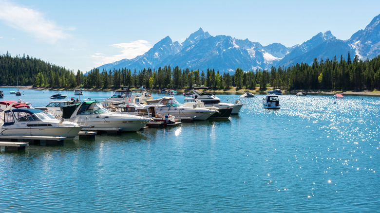 Motorboasts and sailboats bob on Jackson Lake in Colter Bay Marina