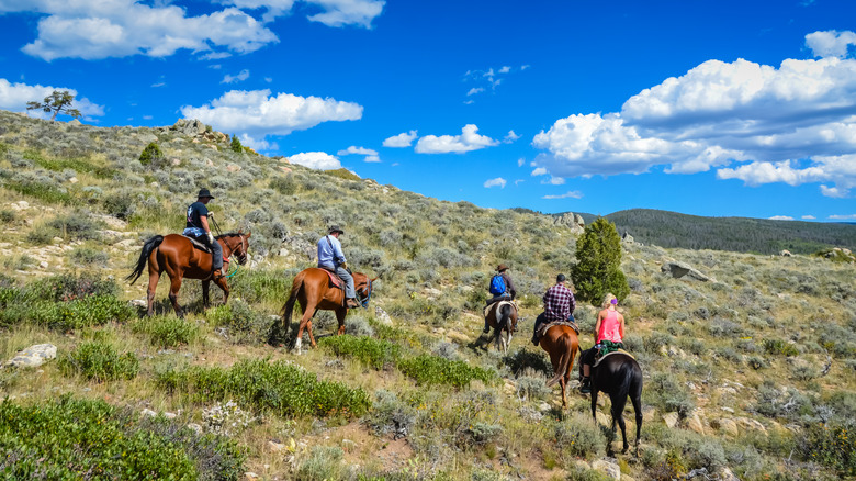 Horseback tour in the Wyoming shrubland