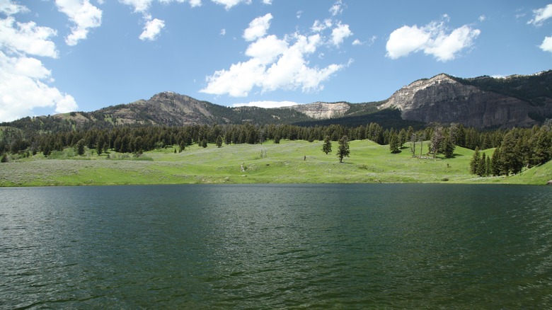 Lake with forest and mountains in background