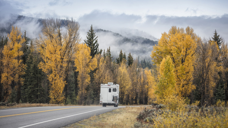 A road leading into misty mountains in the fall in Wyoming