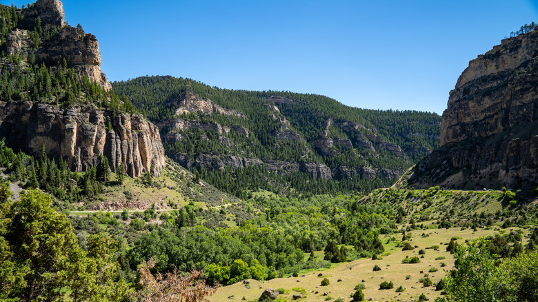 Bighorn National Forest in Wyoming near Ranchester