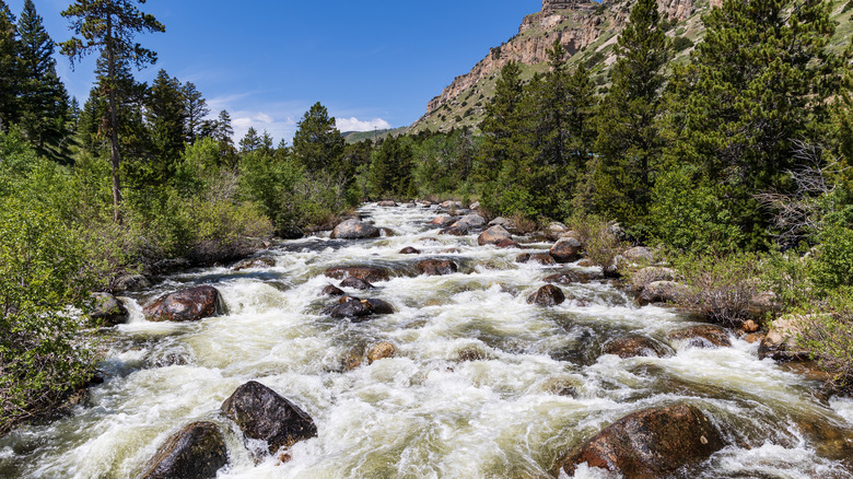 The Popo Agie River in Sinks Canyon, Wyoming near Lander