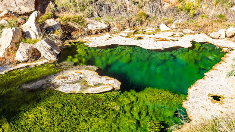 A mineral hot spring inside Hot Springs State Park in Wyoming.