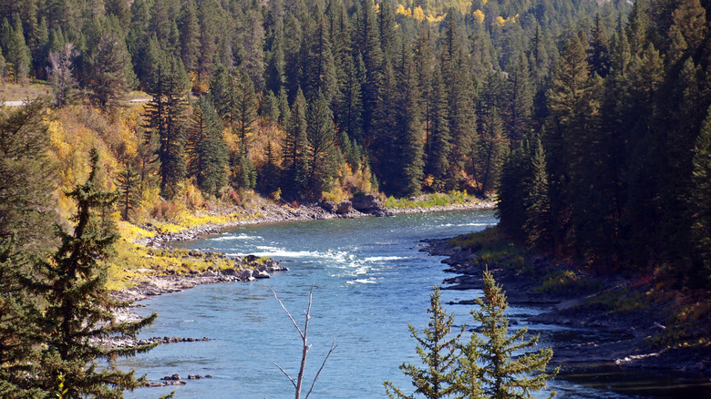 Snake River near Alpine Junction, WY
