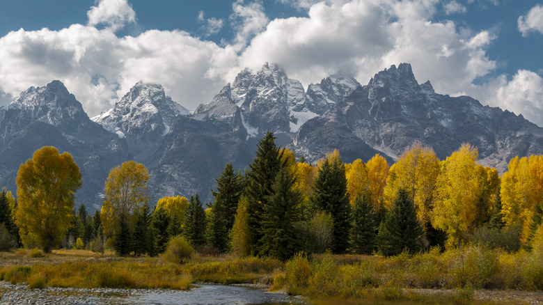the grand tetons during the fall