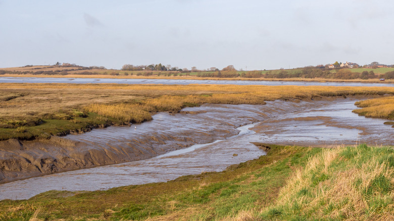 The riverbed at low tide at Wyre Estuary Country Park
