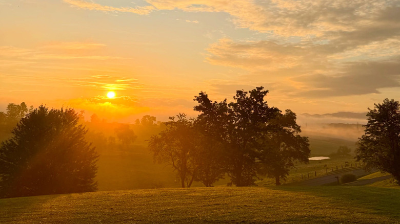 Sunshine over rolling hills dotted with trees in Rural Retreat