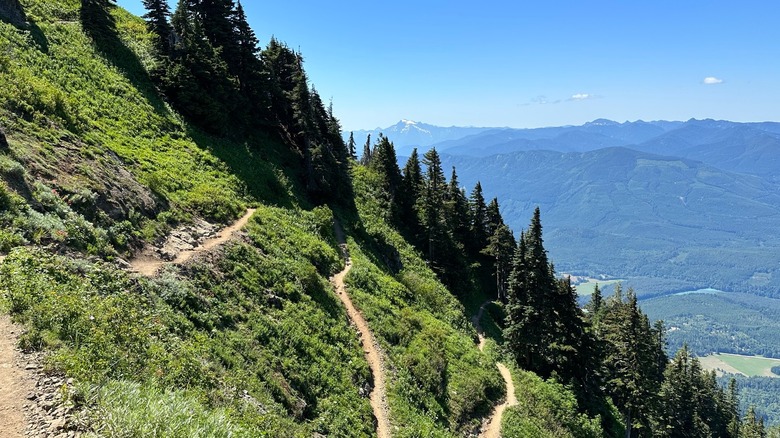 Steep switchbacks on Sauk Mountain Trail in the North Cascades, Washington