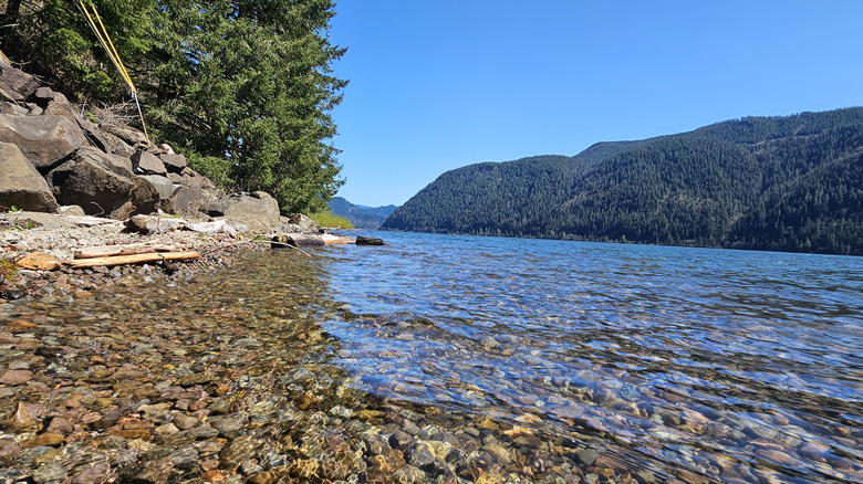 Springtime at Yale Lake, in southwestern Washington State