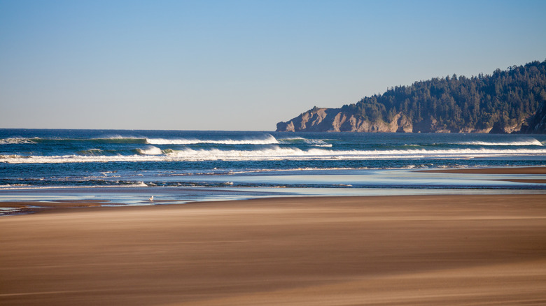 a windy morning with waves at Nehalem Bay State Park