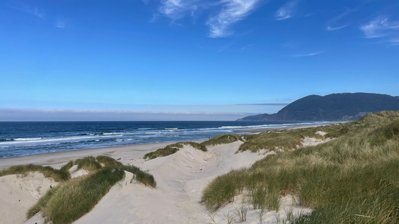 Shot of the beach at Nehalem Bay State Park