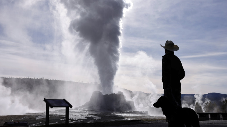 Man and dog watching a geyser erupt in Yellowstone National Park