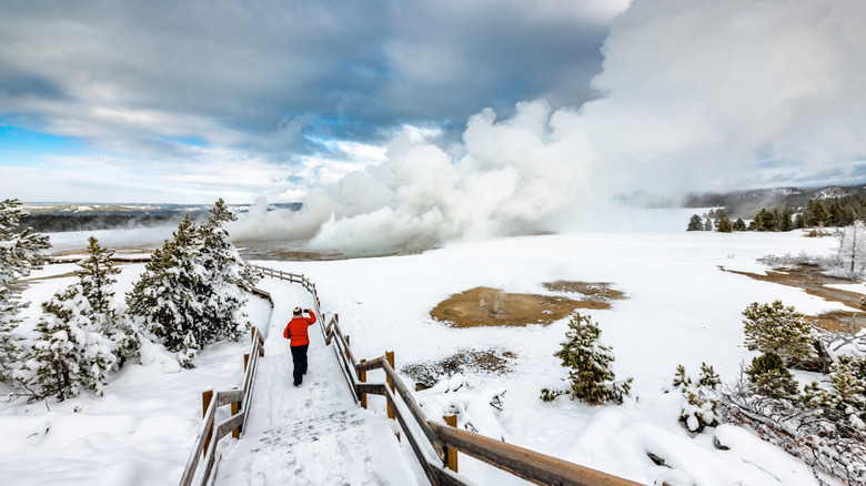 Person in snow gear walking past Mammoth Hot Springs in Yellowstone National Park