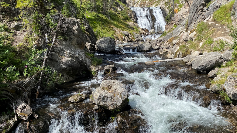 Mystic Falls in Yellowstone National Park