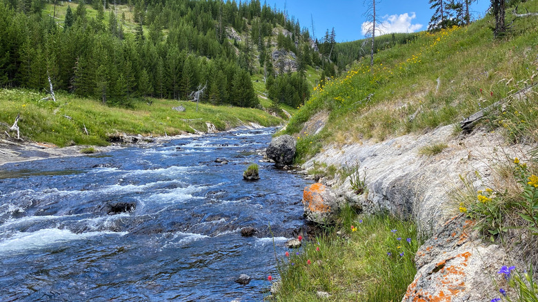 The Little Firehole River from the Mystic Falls Trail in Yellowstone National Park