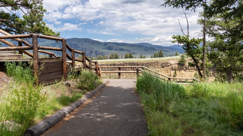 The viewing platform at Calcite Springs Overlook