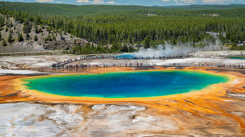 An aerial view of Grand Prismatic Spring in Yellowstone National Park