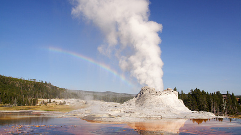 Castle Geyser erupting in Yellowstone National Park and producing a rainbow