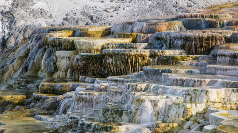 Mammoth Hot Springs travertine terraces in Yellowstone National Park