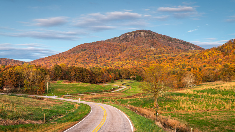 Mount Yonah covered with fall foliage and winding road leading into it Georgia