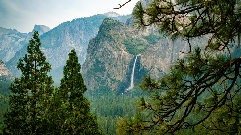 Waterfall view of Yosemite National Park through trees