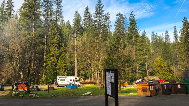A group of tents and an RV can be seen in the glade of a campground