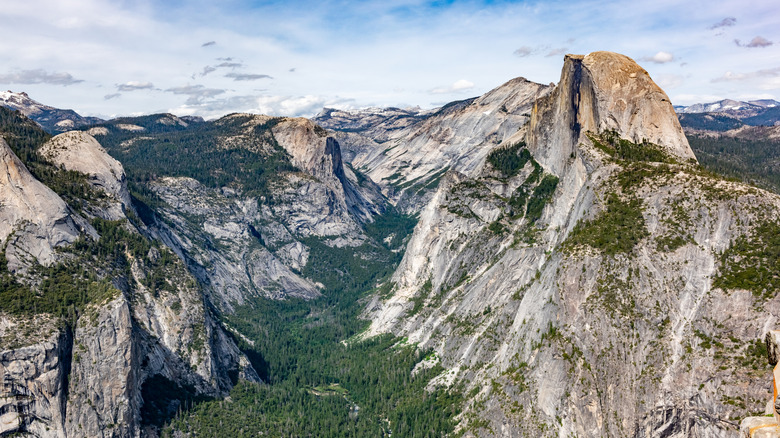 The Half Dome looms above the Yosemite Valley