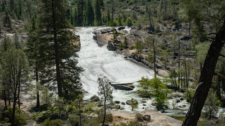 A wide waterfall cascades off a rock between trees