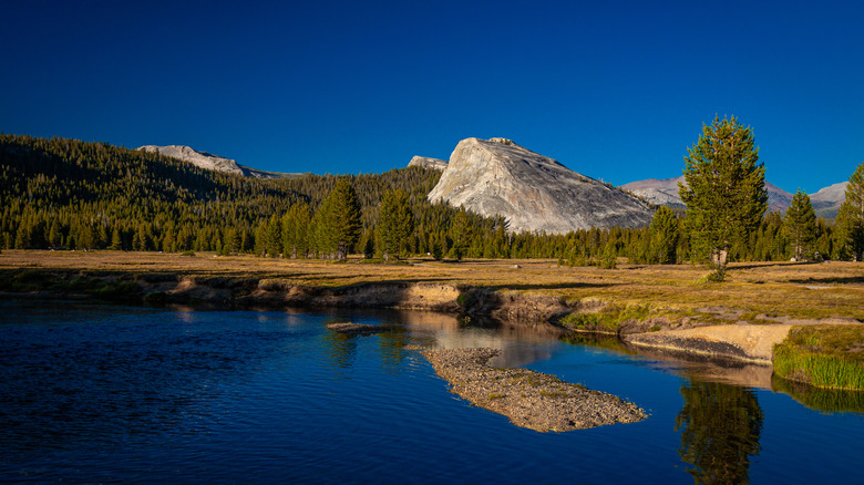 Lake and forest near Tuolumne Meadows Campground