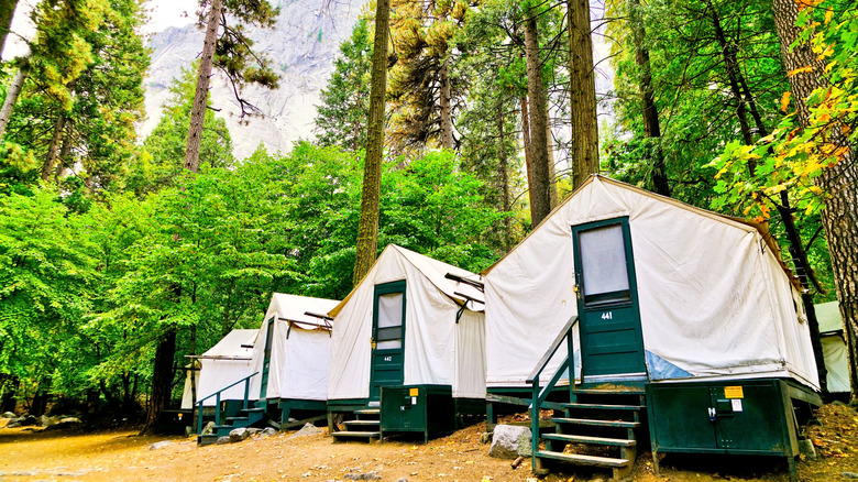 A row of white canvas tents beneath pine trees at Camp Curry in Yosemite Valley.