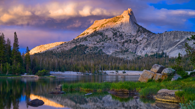 Lakewaters and forests sit below the iconic outline of Cathedral Park in Yosemite National Park