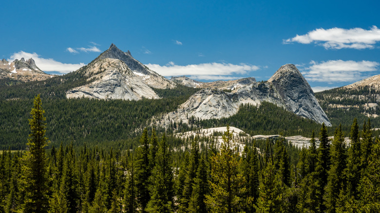 Two jagged peaks rise up from the Cathedral Lakes area in Yosemite's high country