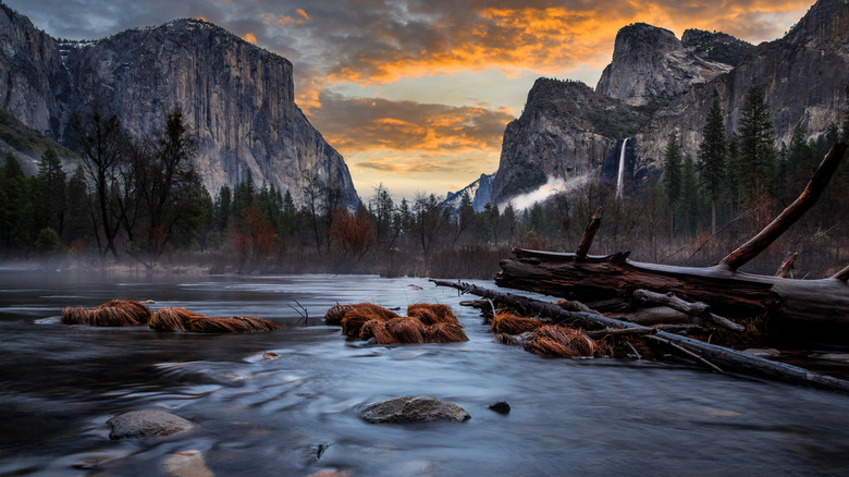 A stream in Yosemite National park at sunset