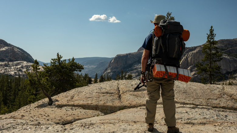 Loaded backpacker hikes in Yosemite National Park