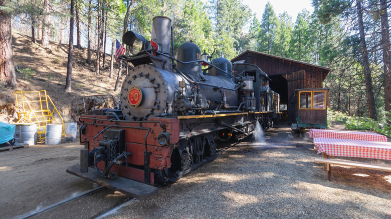 Yosemite Mountain Sugar Pine Railroad