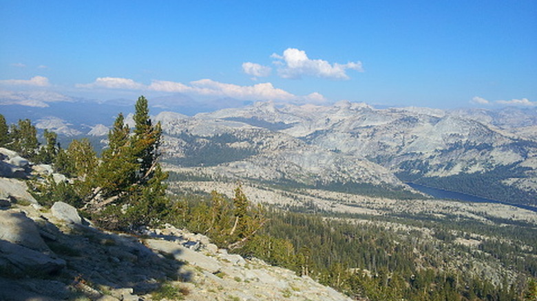 A view back towards the High Sierra from the Mount Hoffmann trail