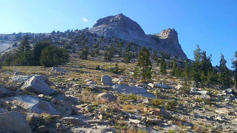 Looking through the boulder fields towards the summit of Mount Hoffmann