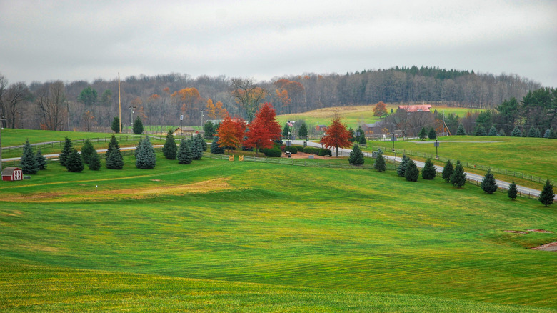 Panoramic view of the Woodstock field at Bethel Woods