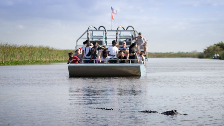 Airboat tour in the Everglades
