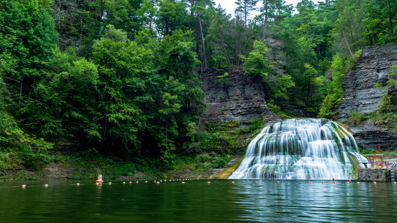 Enfield Falls in New York