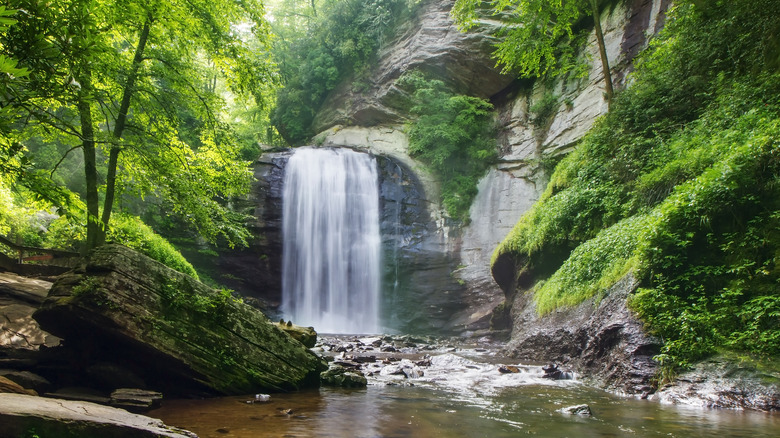 North Carolina's Looking Glass Waterfall