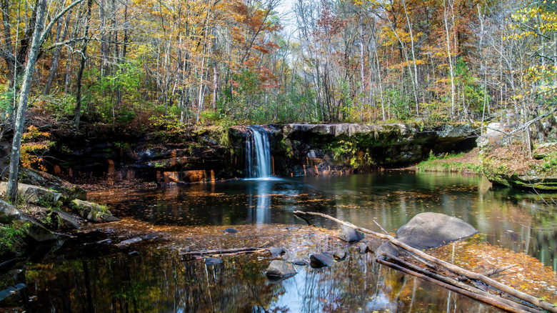 Wolf Creek Falls in Minnesota