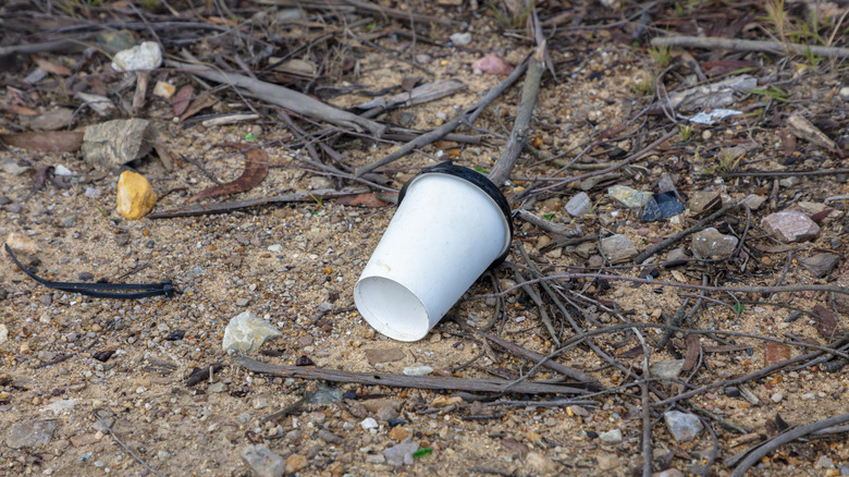 Trash on the ground in a natural area